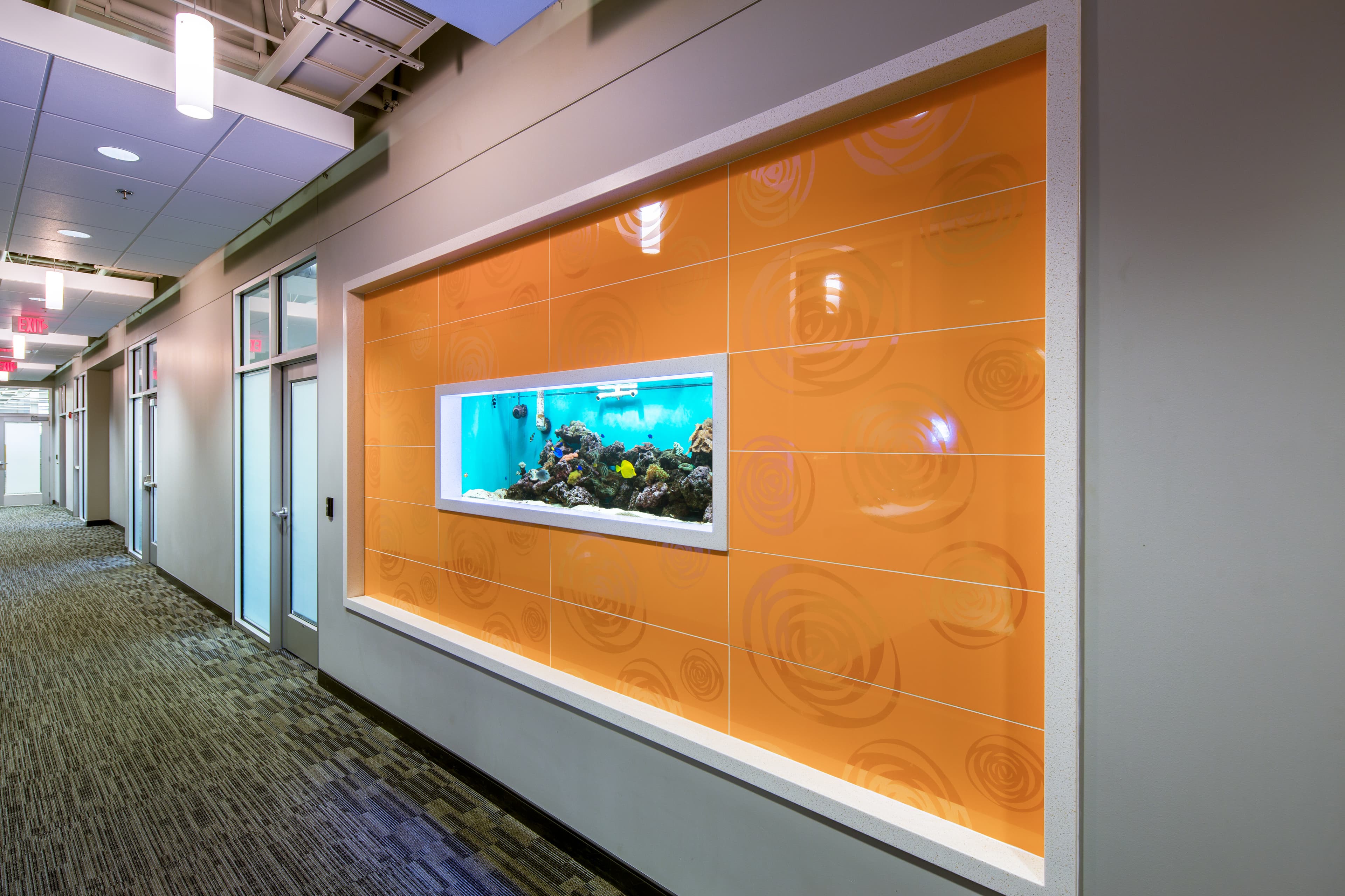 Haven-delivered facility interior — branded retail finish
